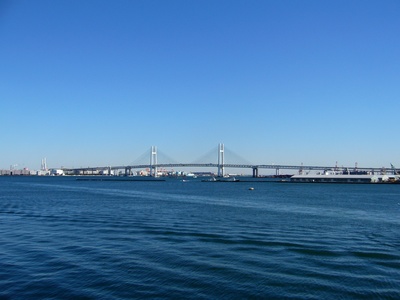 4869176.jpg